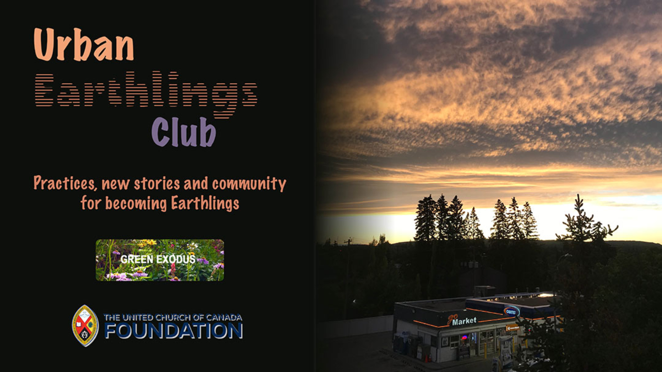 Urban Earthlings banner